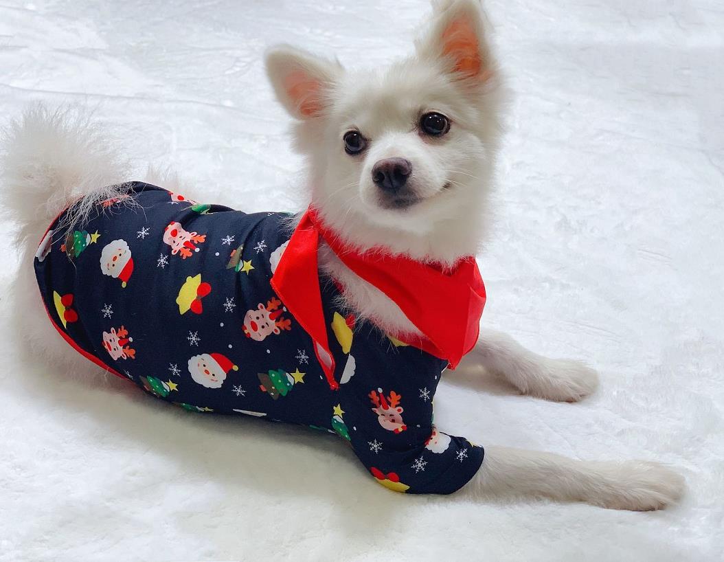 Family Matching Pajamas Set New Arrivals Christmas Tree Santa Deer Print Adult Kids Pjs Baby Jumpsuit, Dog