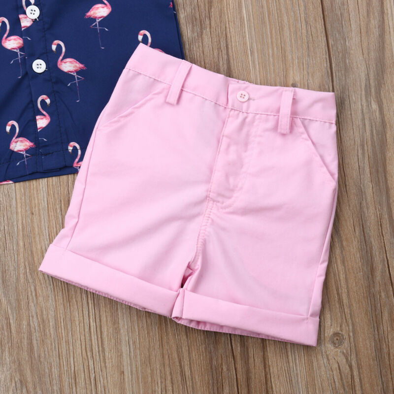 Baby Flamingo 2pcs fit