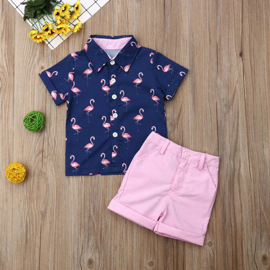 Baby Flamingo 2pcs fit